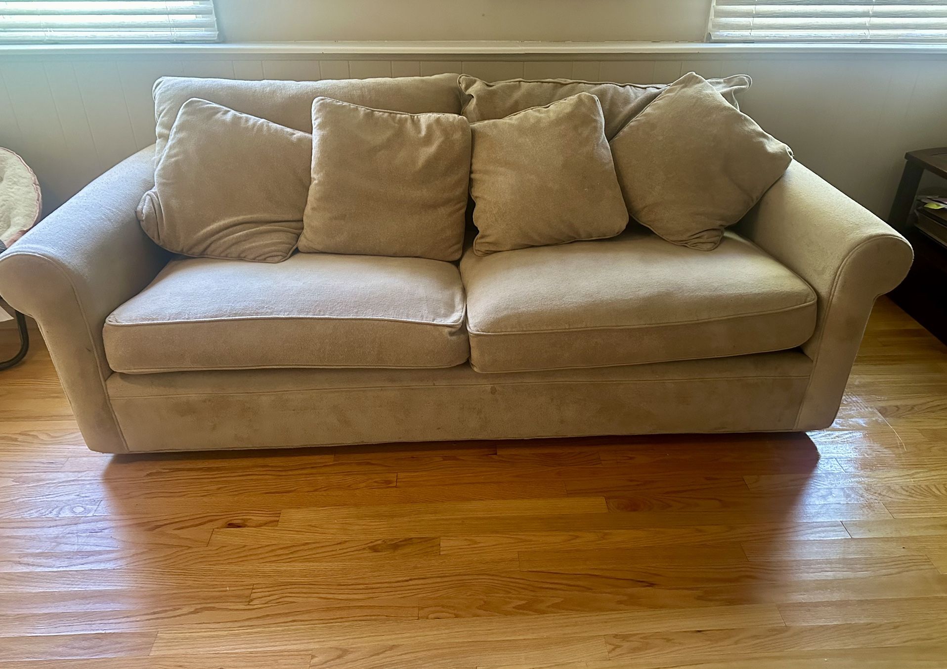 Full Size Pull Out Sofa Bed