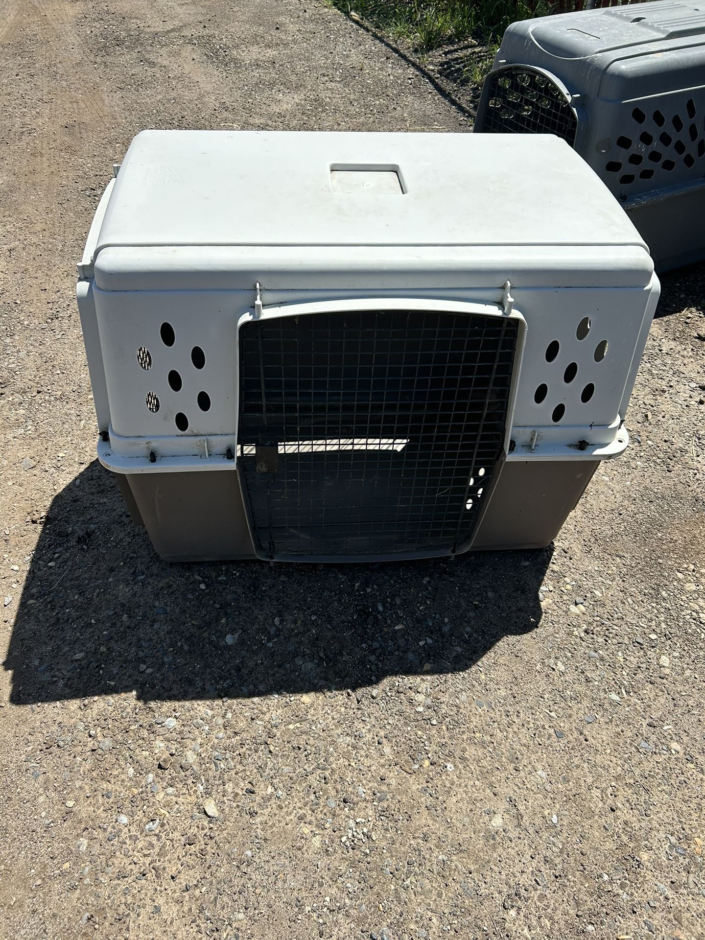 Dog Kennel 