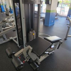 Life Fitness Leg Extension/ Leg curl