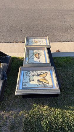 Free picture frames and gun case