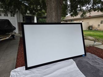100"  in ch vinyl and velvet projector screen.