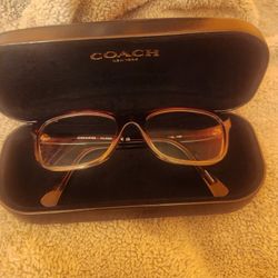 Eyeglasses & Sunglasses