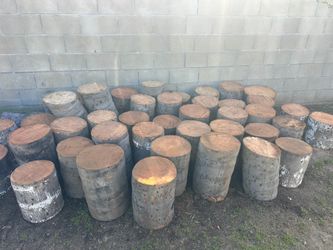 Palm Tree Stumps
