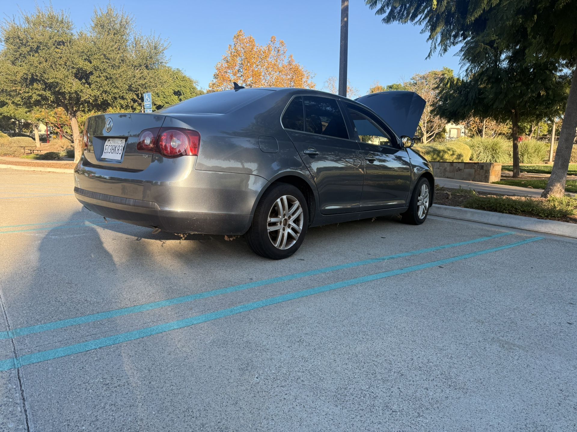 2009 Volkswagen Jetta