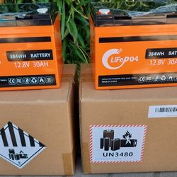 2 × 12V 30Ah LiFePO4 Battery,5000+ Deep Cycle Lithium Battery,Low-Temperature Protection,30A BMS,for Fish Finder, Trolling Motor, Kids Scooters, Power