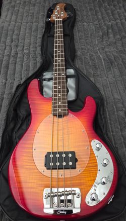 Sterling by Music Man Bass Guitar