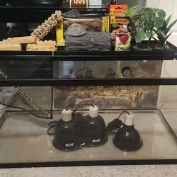40 Gallon Tank