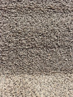 Sandy Gray Carpet