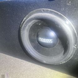 10” Woofer That BOOMS