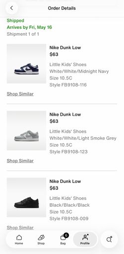NEW Little Boys Nike Dunk Low 10.5c