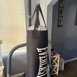 Punching Bag With Stand 