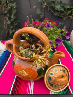 Succulent plant pots