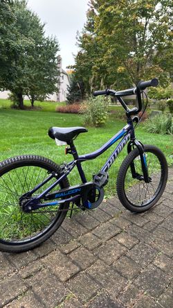 Schwinn Bicycle 20 inch