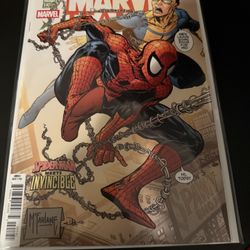 SPIDER-MAN INVINCIBLE TEAM-UP #14