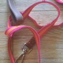 Medium Dog Harness & Leash