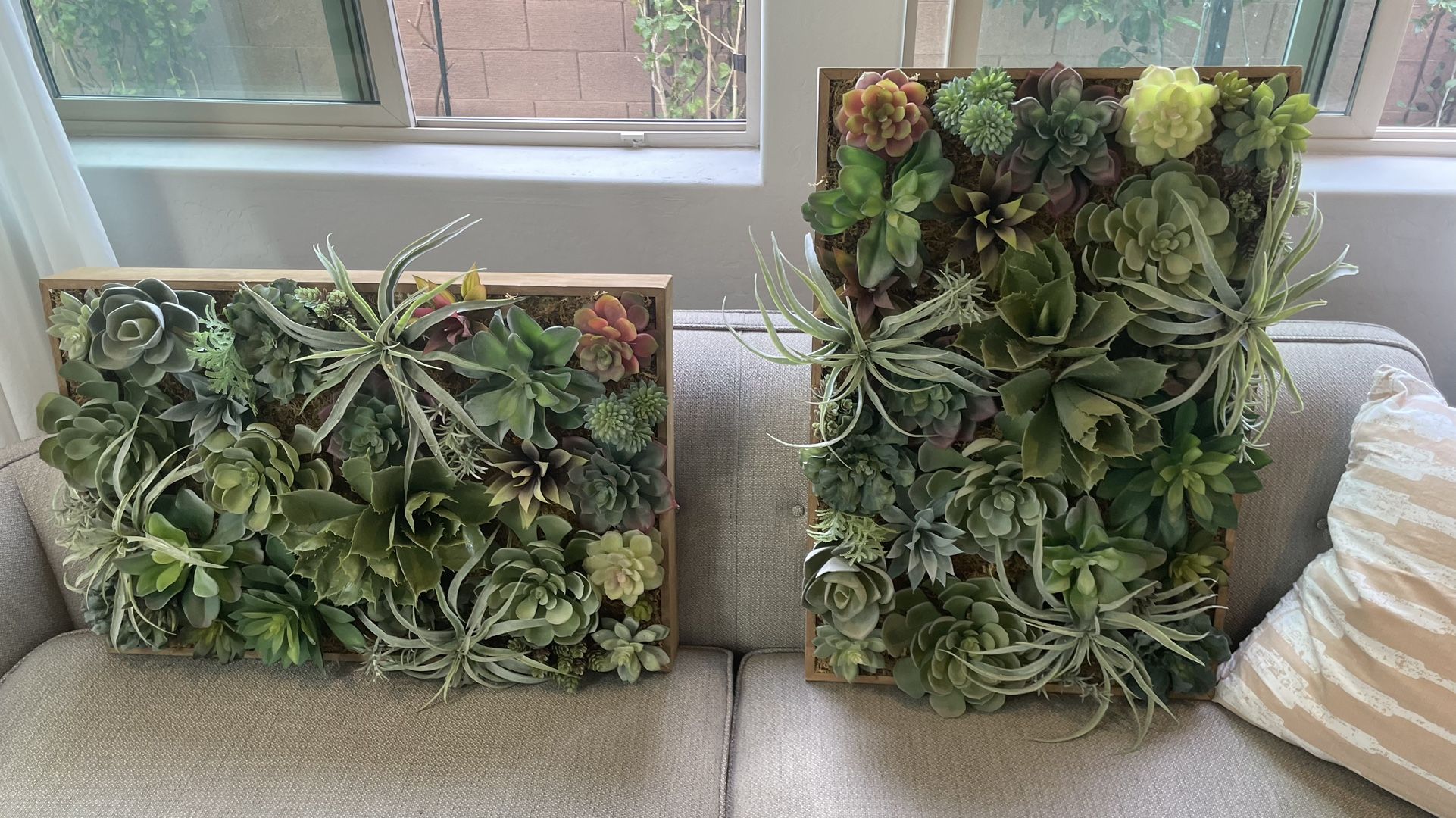 Pottery Barn Faux Succulent Wall Art