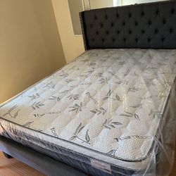 New Mattresses New Pillowtop New Memory Foam New Bed Frames Nuevo Colchones Camas Nuevas ‼️