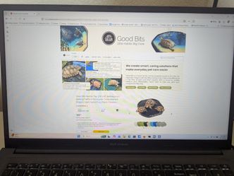28" Good Bits Reptile soaking pool