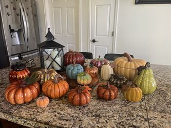 Fall Pumpkins!