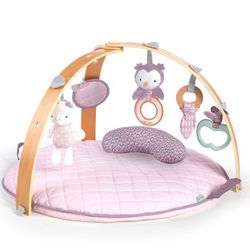 Baby activity gym