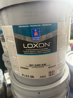 Loxon tinted light blue