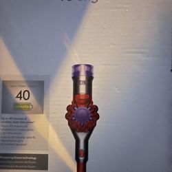 Dyson  V8 (Erases Pet Mess)