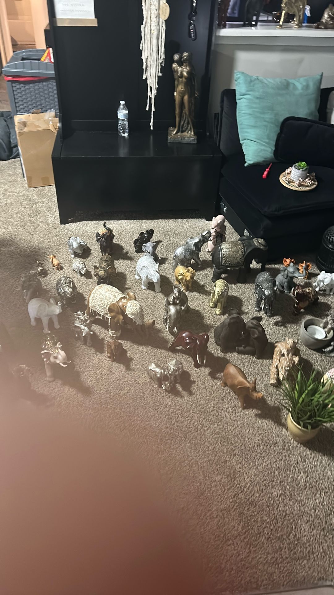 Moving Must Sell By Tomorrow Elephant Collection