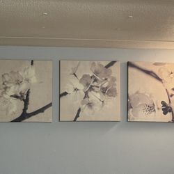 Floral Wall frames 
