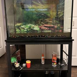 40 Gal Fish Tank 