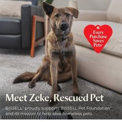 BISSELL Little Green HydroSteam Multi-Purpose Portable Carpet and Upholstery Cleaner, Car and Auto Detailer, 3618