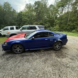 2004 Ford Mustang