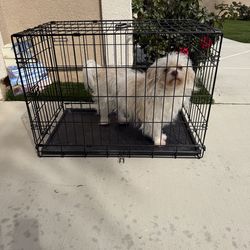 Dog cage