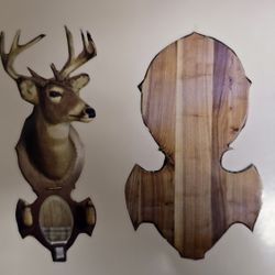 Taxidermy Black walnut wood Plaque 
