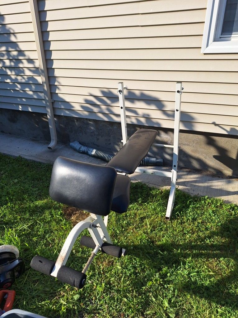 Weight Bench And Speedball