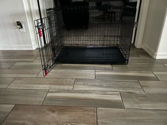 Kong Pet Crate