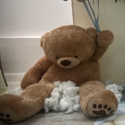 Big 5.5-6FT TEDDY BEAR 