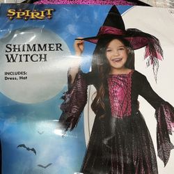 Toddler Girl Witch Halloween Costume
