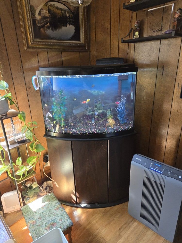 35 G Bow Front Fish Tank