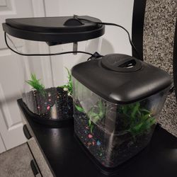 2 Small Fish Tank