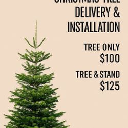 Christmas Tree Delivery and Installation