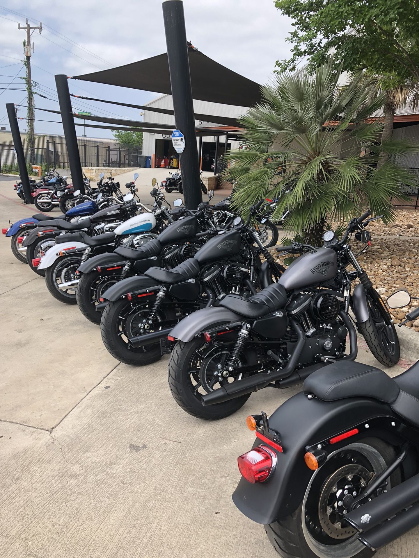 Big variety of used Harley-Davidson motorcycles