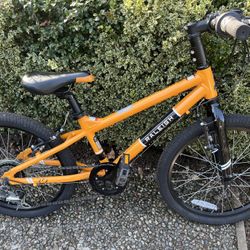Raleigh rowdy 20 review hotsell
