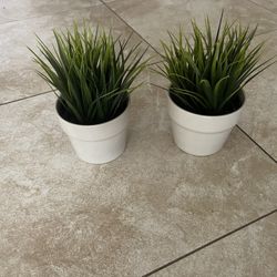 Set Of 2 Plants In Ceramic Pot