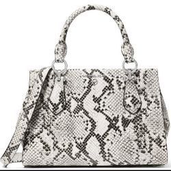 Michael Kors Luxury Snake Leather Handbag And Wallet