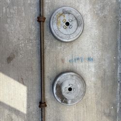 Workout Bar + 15 lb Weights (Removable)