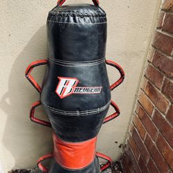 REVGEAR fitness pod 
