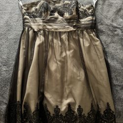 Davids Bridal Size 15 Dress