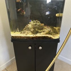 Fish Tank