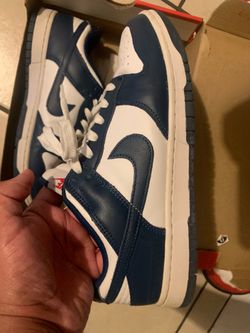 Nike dunk 9.5