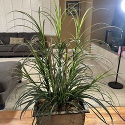 Fake Plant 